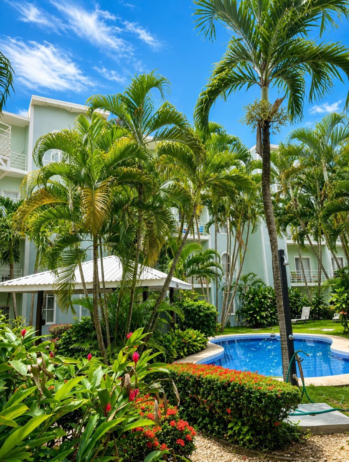 Jardín tropical junto a la piscina